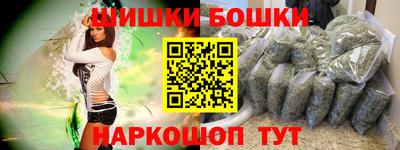 индика Лесосибирск